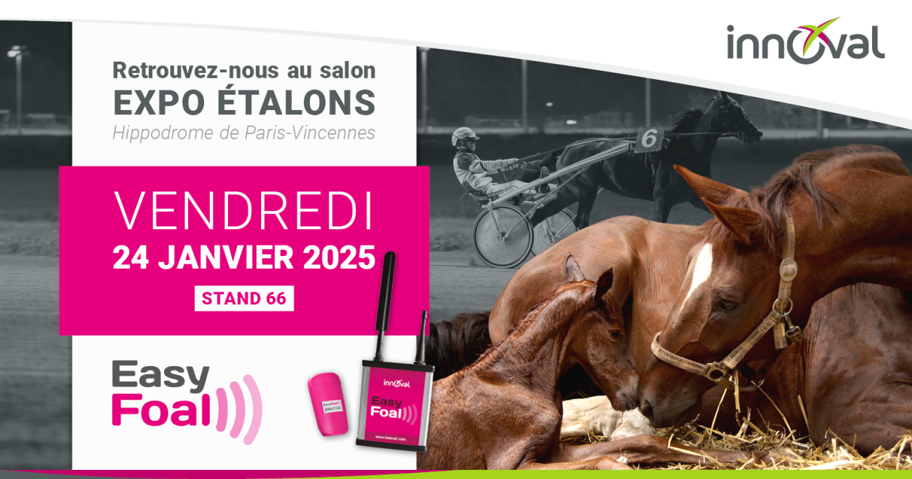 Découvrez EasyFoal au salon EXPO ETALONS ! 