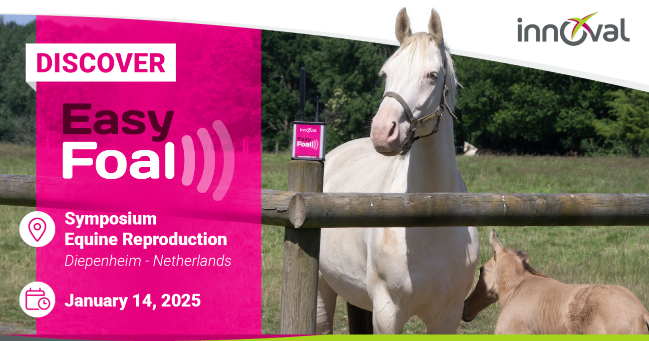 Take part in a day dedicated to equine reproduction and discover EasyFoal