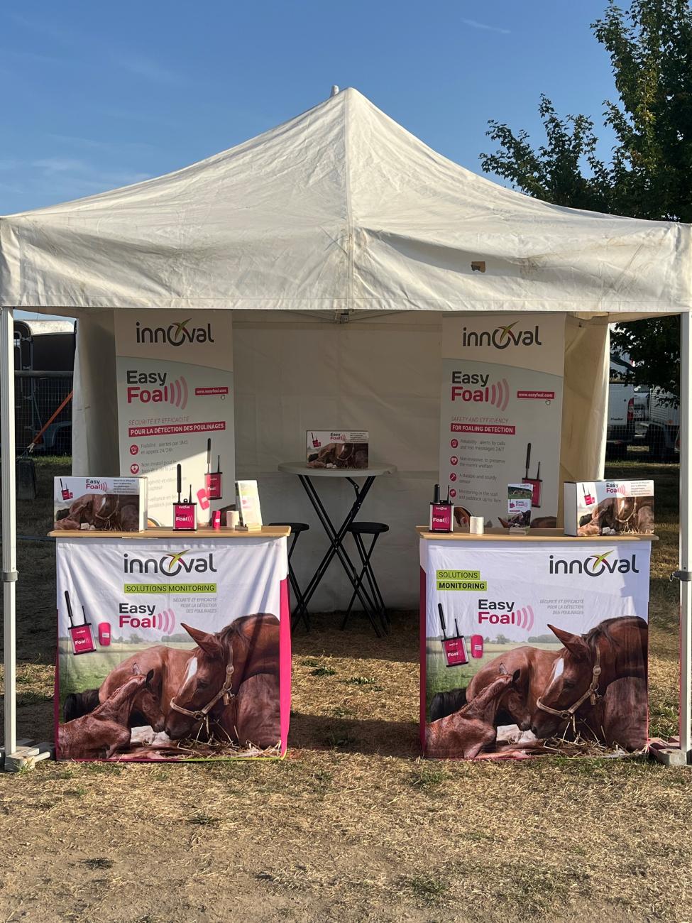 EasyFoal au cœur de l’International Shetland Pony Show !