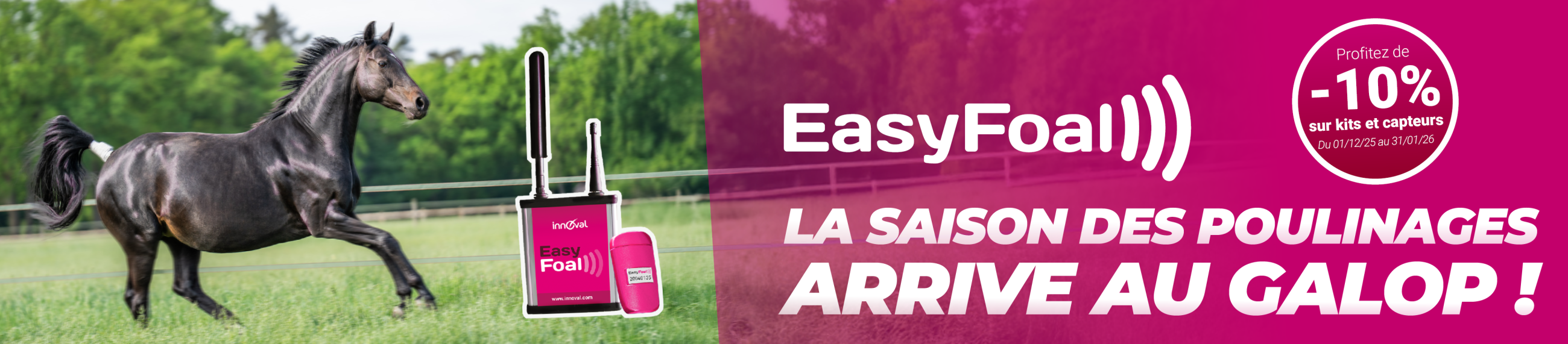 Easyfoal, efficiency and simplicity for foaling