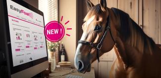 New: The Easyfoal website has a new look !