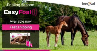 EasyFoal: it's time to think ahead and place an order