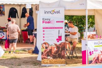 EasyFoal au cœur de l’International Shetland Pony Show !