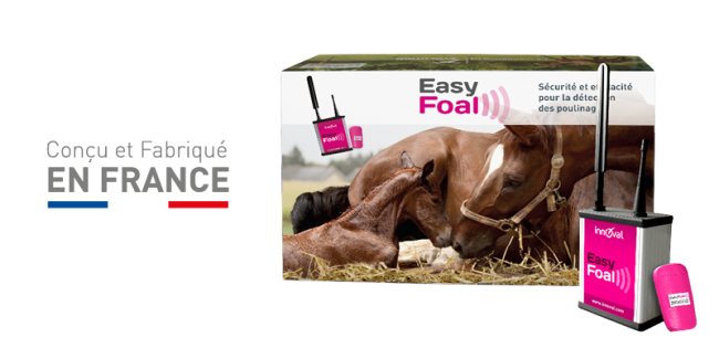 Complete EasyFoal foaling kit -INDOOR