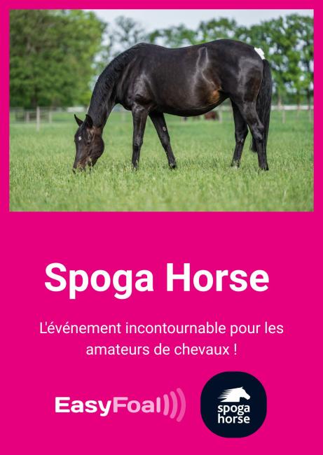 SPOGA HORSE